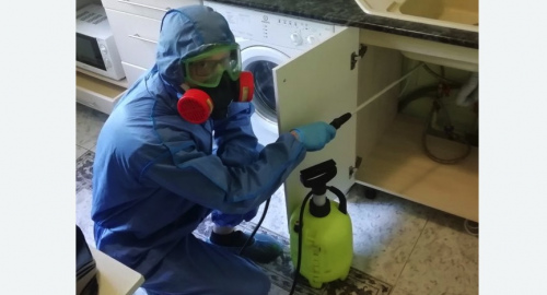 Уничтожение муравьев в квартире. Калачинск