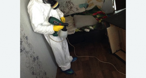 Обработка квартир от насекомых в Калачинске