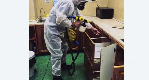 Дезинсекция квартиры. Калачинск