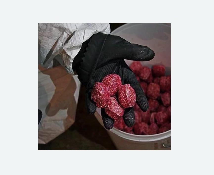 Обработка от крыс Обработка от крыс в Калачинске