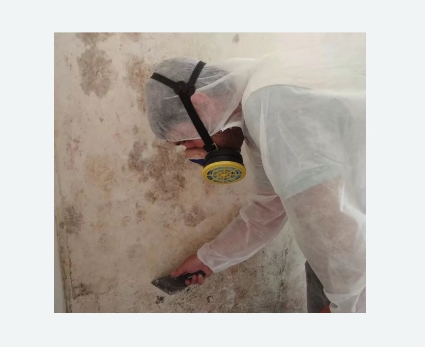 Обработка стен от плесени в Калачинске