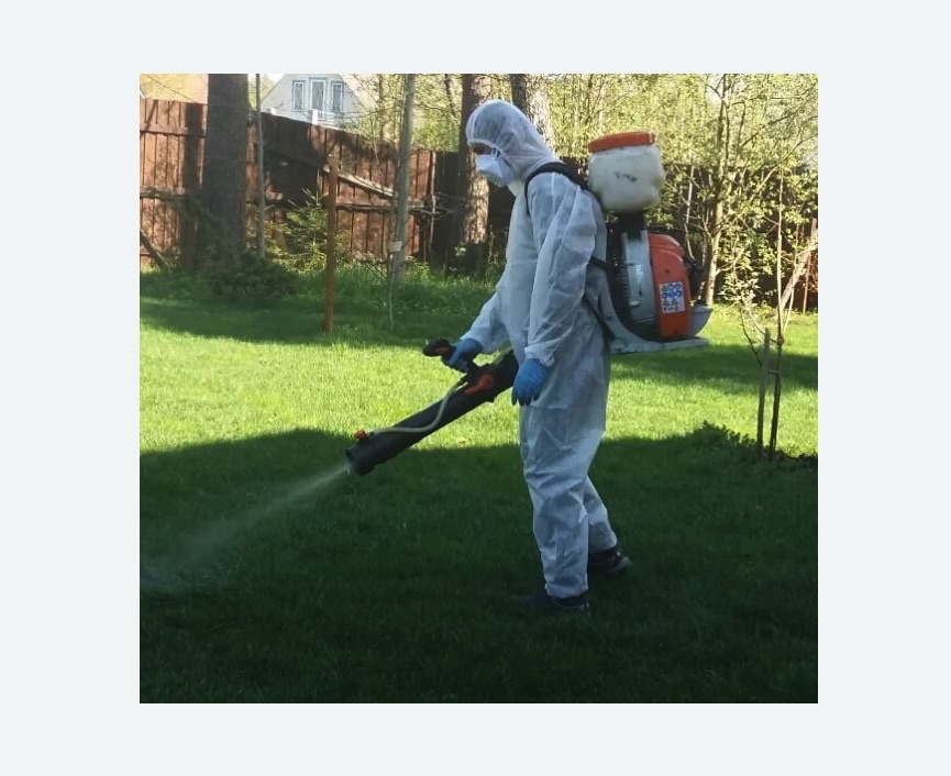 Обработка участка от клещей в Калачинске Обработка участка от клещей