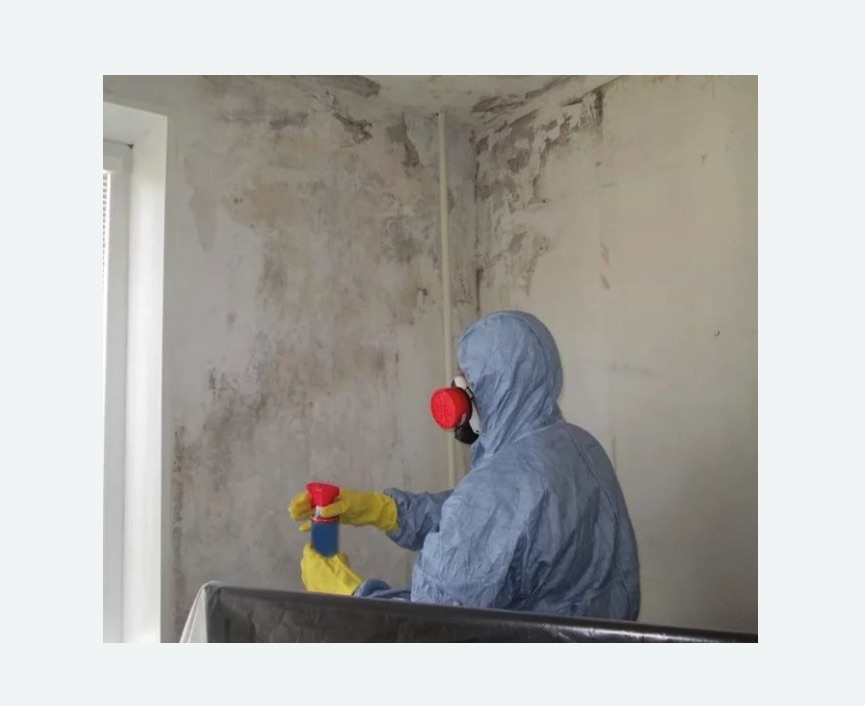 Удаление плесени в квартире в Калачинске