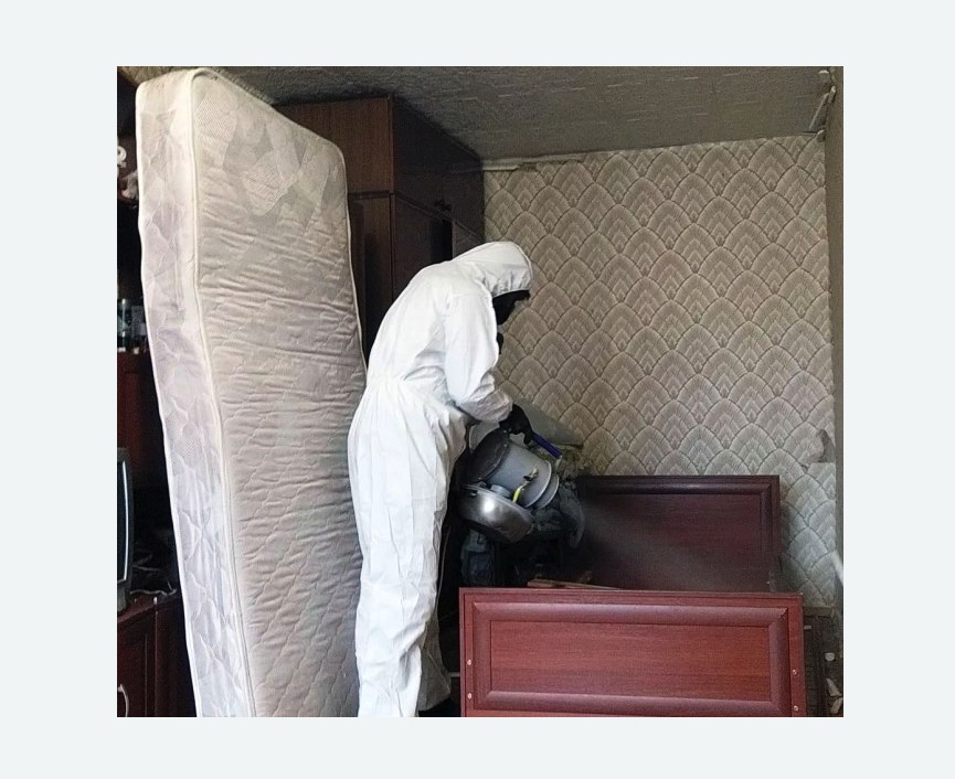 дезинфекция от клопов в Калачинске