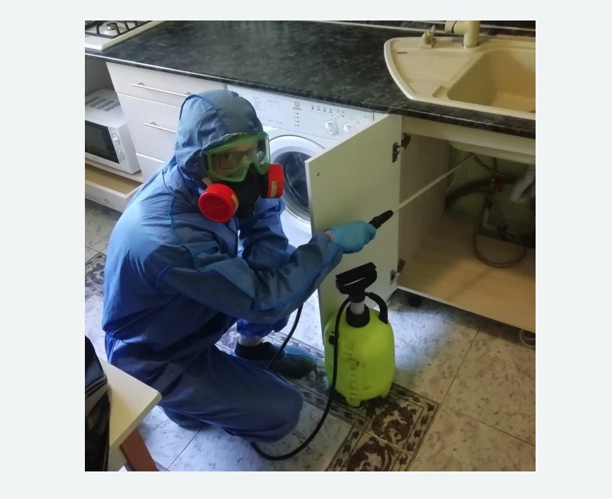 обработка от муравьев в квартире в Калачинске