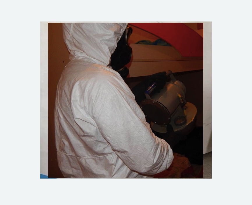 Дезинфекция от муравьев в Калачинске