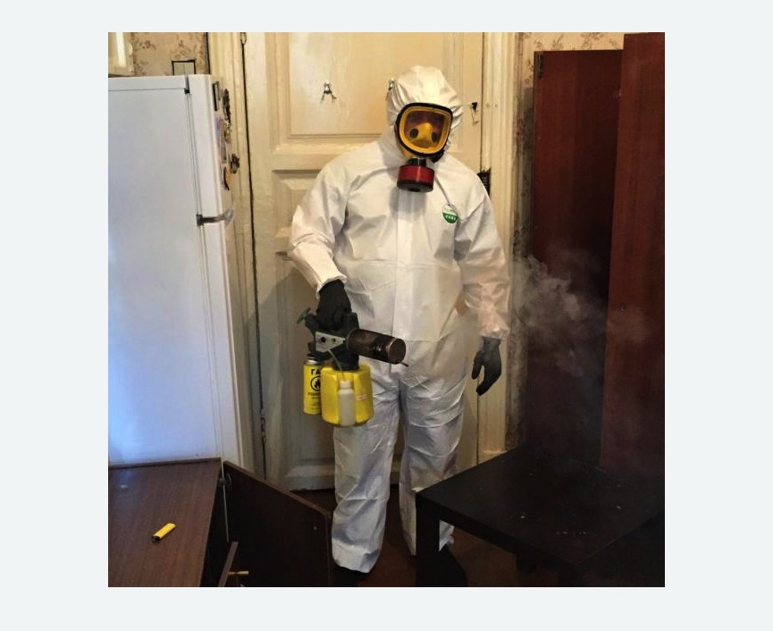 уничтожение муравьев в квартире в Калачинске